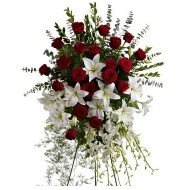 Lagrima de rosas rojas y lirios blancos